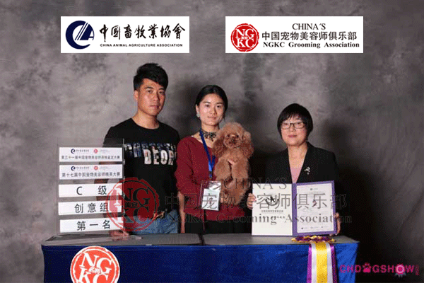 c级创意组第一名 苏丽君(南京仁仁宠物美容培训学校)